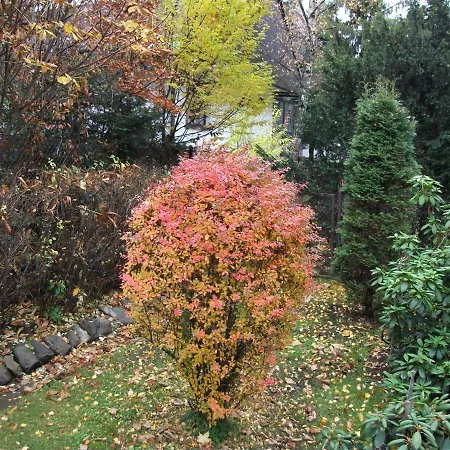 Sezamek Blisko Szlakow I Centrum Homestay *