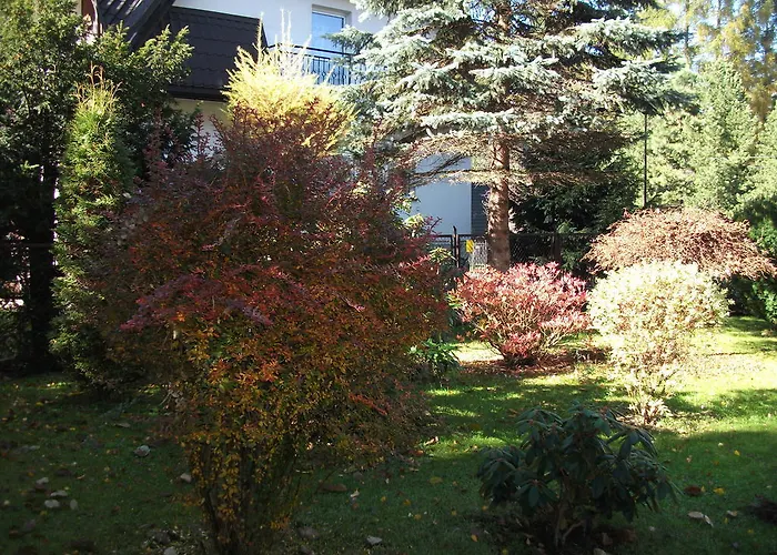 Sezamek Blisko Szlaków I Centrum Zakopane