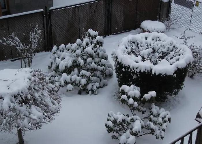 Sezamek Blisko Szlaków I Centrum Quarto em Acomodações Particulares Zakopane