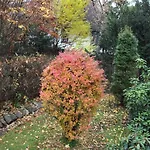 Sezamek Blisko Szlakow I Centrum Homestay szállás *