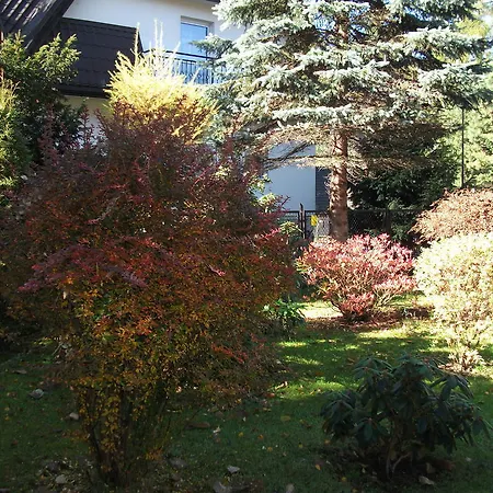 Sezamek Blisko Szlakow I Centrum ザコパネ