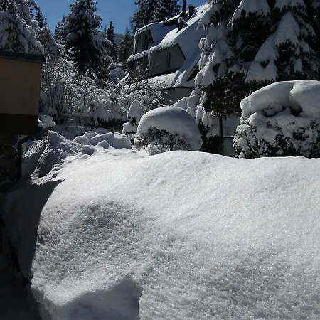 Sezamek Blisko Szlakow I Centrum