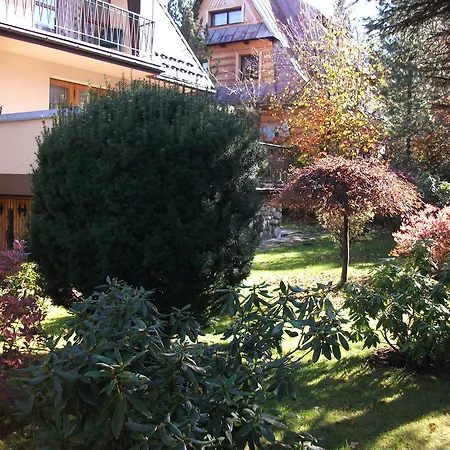 Sezamek Blisko Szlakow I Centrum * 자코파네