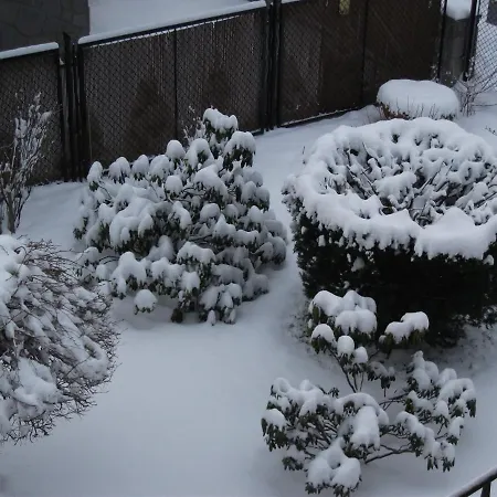 Sezamek Blisko Szlakow I Centrum 홈스테이 자코파네