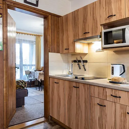 Sezamek Blisko Szlakow I Centrum ホームステイ ザコパネ