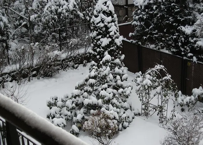 Sezamek Blisko Szlakow I Centrum בית אירוח זקופאנה